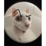 GGoobers