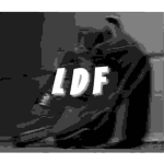 L0c@l Dr!p F@v0r!te$