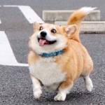 肥揚/肥超