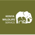 Kenyan Ranger Service