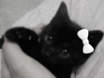 Ren’s Closetta
