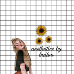 Aesthetics by bailee