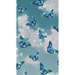 ~Kixinui’s~