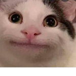 Cats world lol