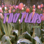 •TinyTulips•