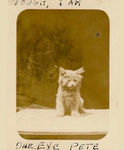 fountain hxu