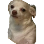 Lupapa teaam
