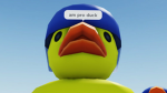 Duck Fans :)