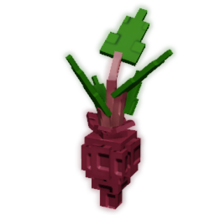 Evo Beetroot III