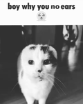 SES PARANORMAL