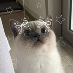 Viktoria's Lounge Group Thumbnail