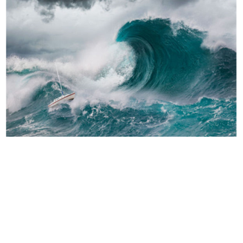 SURVIVE THE MASSIVE WAVE [2% HAVE SURVIVED!]