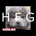 ( H F G )