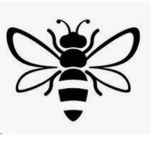 BuzzyBee Studios