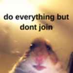 do everything but dont join