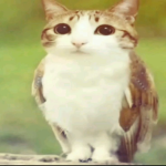 0xE000