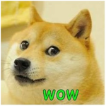 DogiPL