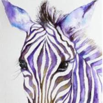 The Purple Zebra Simmer Fans