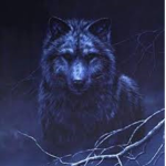 Secret Wolves of the Shadows-(影の秘密狼)