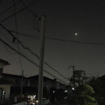 블랙 핑크