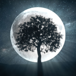Lunar Eclipse Moon fans