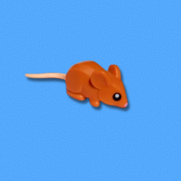 What its like to be a Mouse escape house Obby