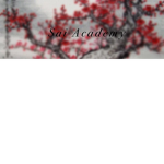 Sai Academy [S.A]