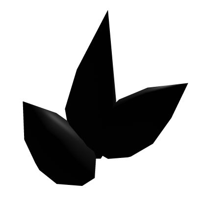 Right Shoulder Black Fur