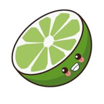 Lemon Lime Studios