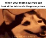 group of lobsters