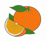 The Citrus village