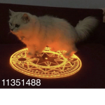 Cyber uwuz