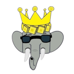 Elephant Doctors