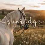 . ~ Sunridge Equestrian ~ .