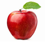 Daily Apple's HQ