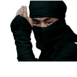 ninja traning dojo