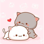 ~kawaii cat~