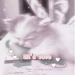 lil's luvs