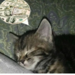 CA$H ON MY MIND