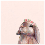 The Cheese Bunnies