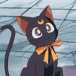 ｡`˖☆˖`｡