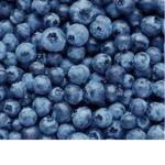 Blueberry babies.