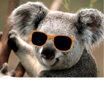 KOALA=CLUB
