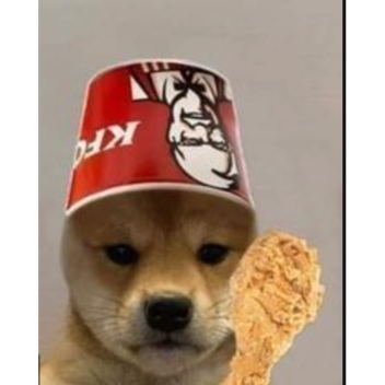 dogewoofwoof_best's Place Number: 21