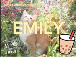 .emily. plays