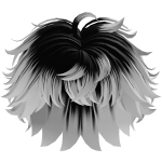 Black and White Messy Hair