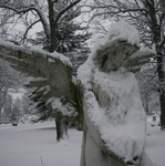 invisibleangel