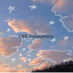 C&B Simulations
