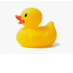 *~The RubberDuckies~*