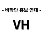 바학단 홍버 연대 - Special groups